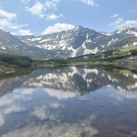 Semiramida Gardens Apartments Borovets Dış mekan fotoğraf