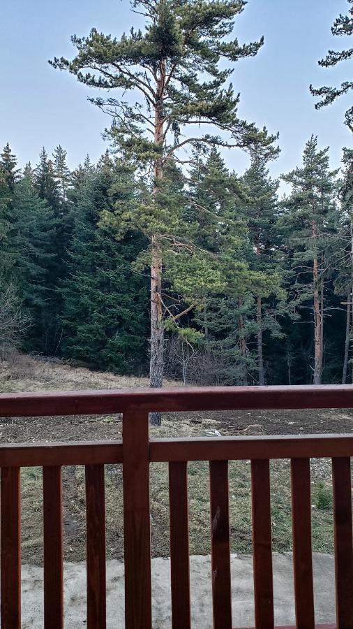 Semiramida Gardens Apartments Borovets Dış mekan fotoğraf
