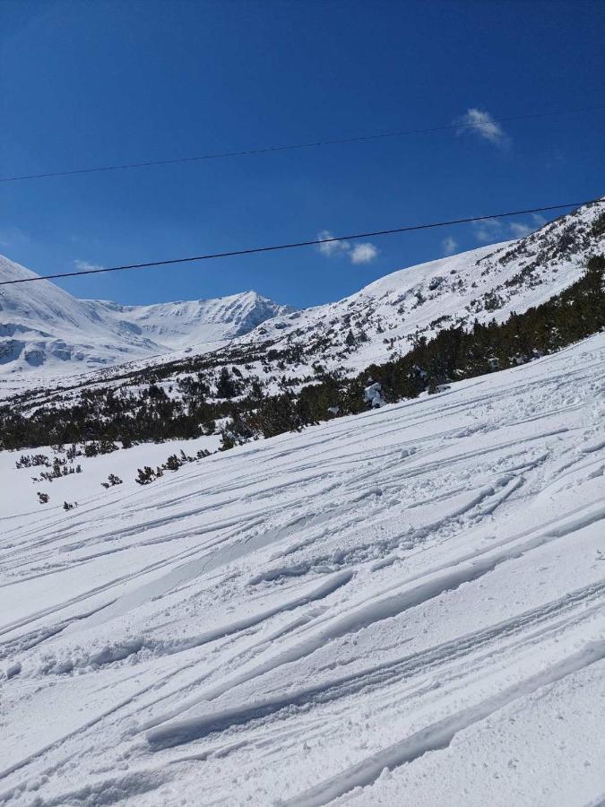Semiramida Gardens Apartments Borovets Dış mekan fotoğraf